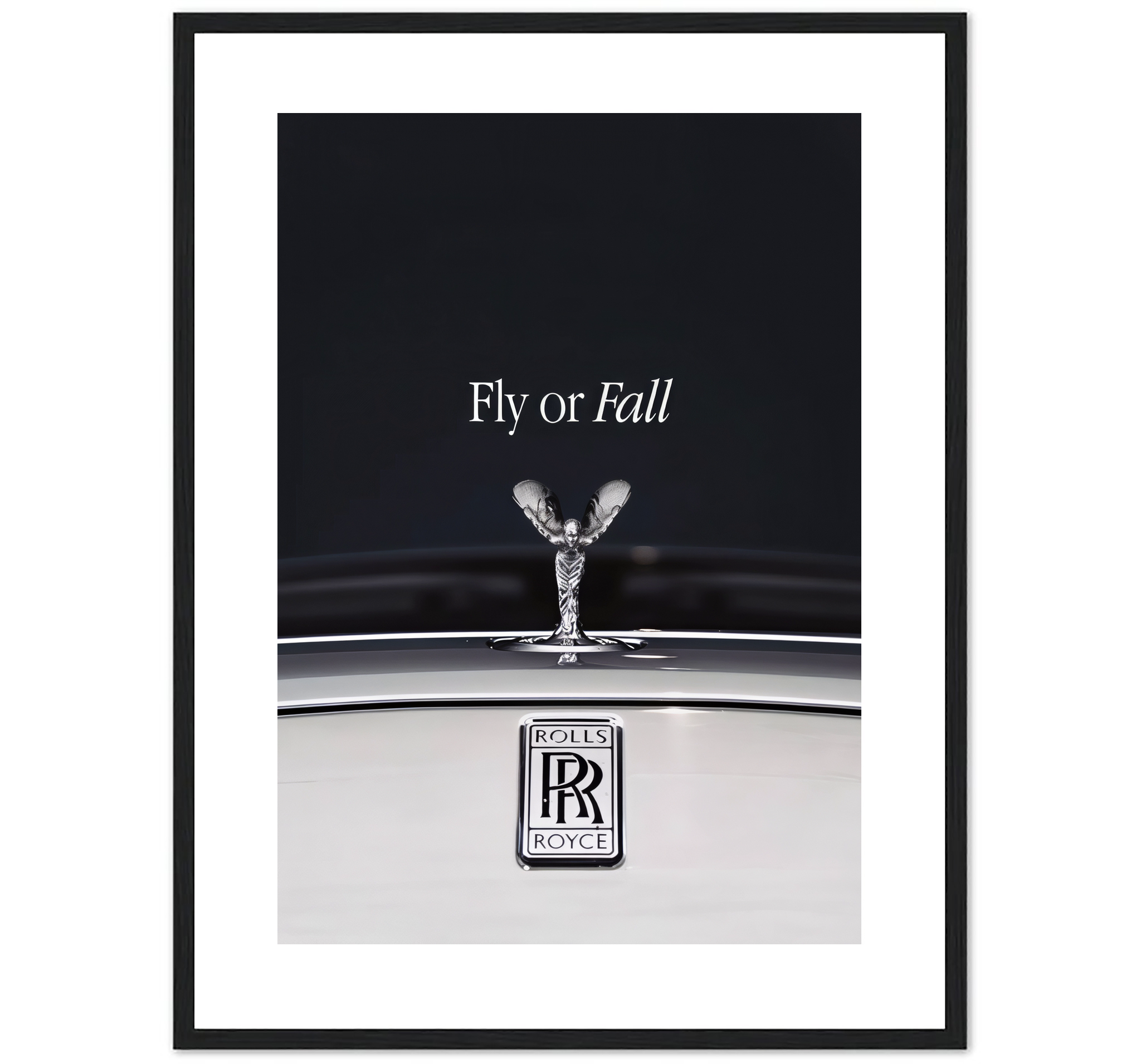FLY OR FALL