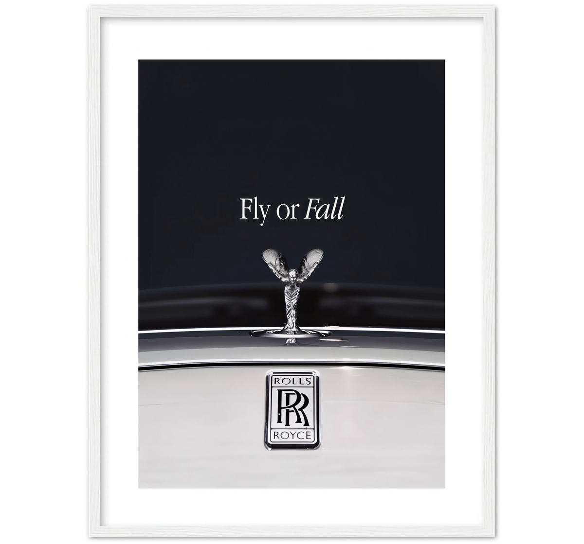 FLY OR FALL
