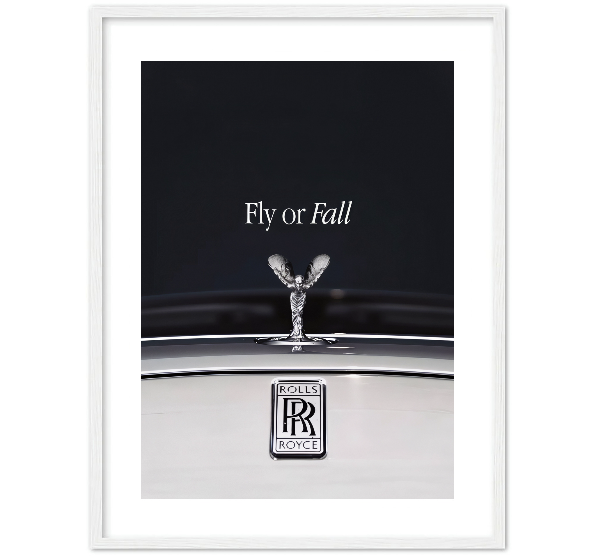 FLY OR FALL
