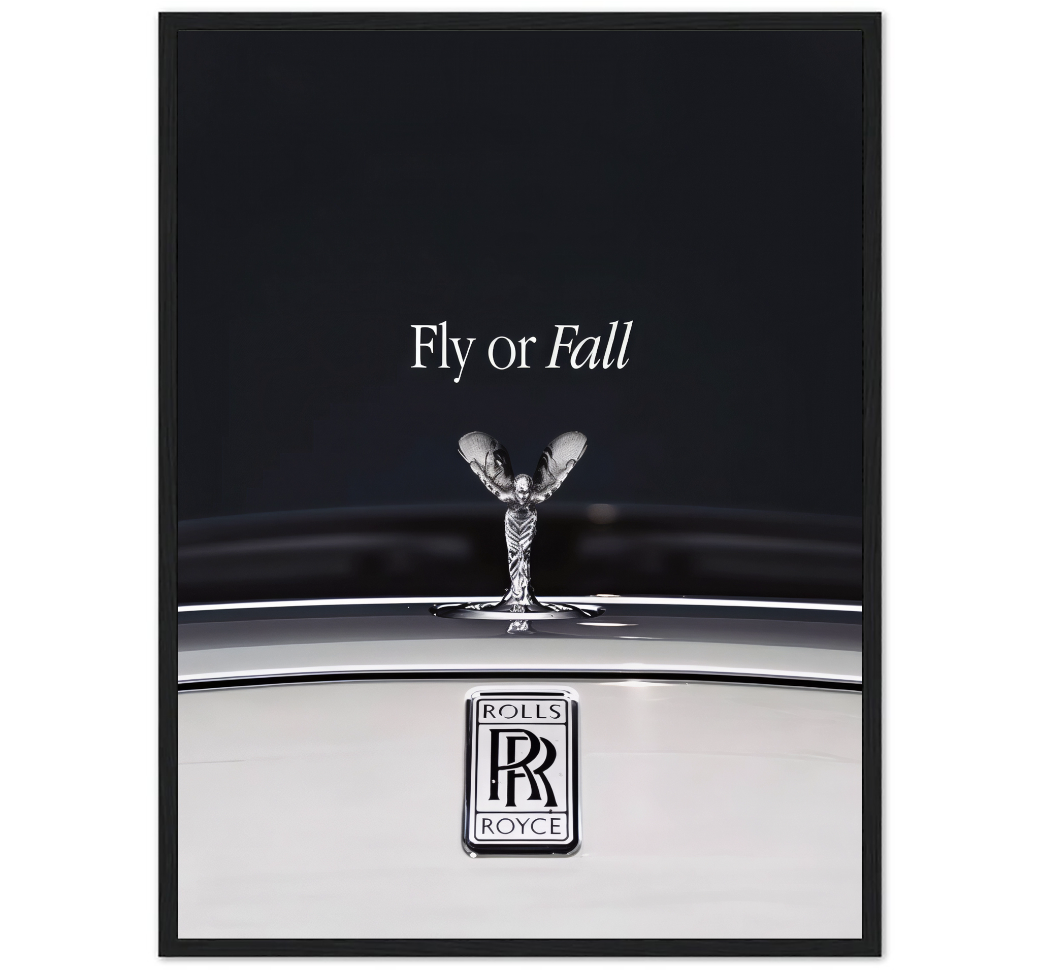 FLY OR FALL