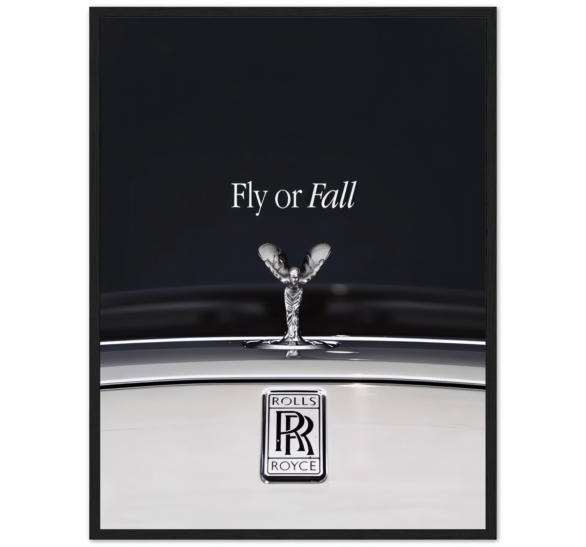 FLY OR FALL