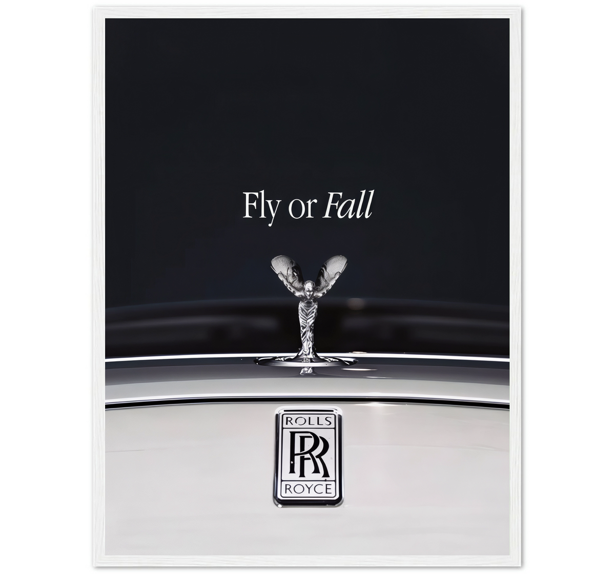 FLY OR FALL