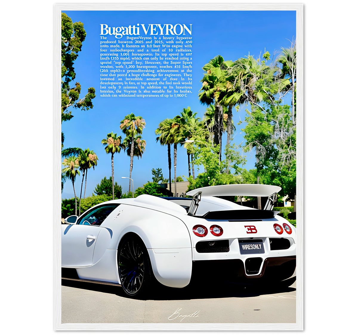VEYRON