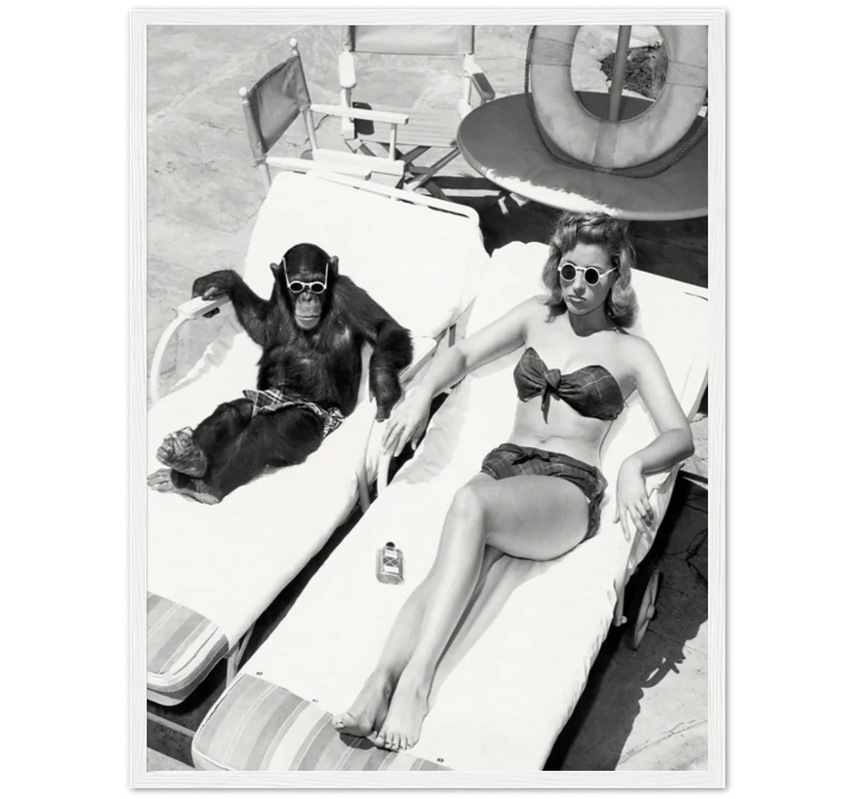 Women Sunbathing With Chimpanzee