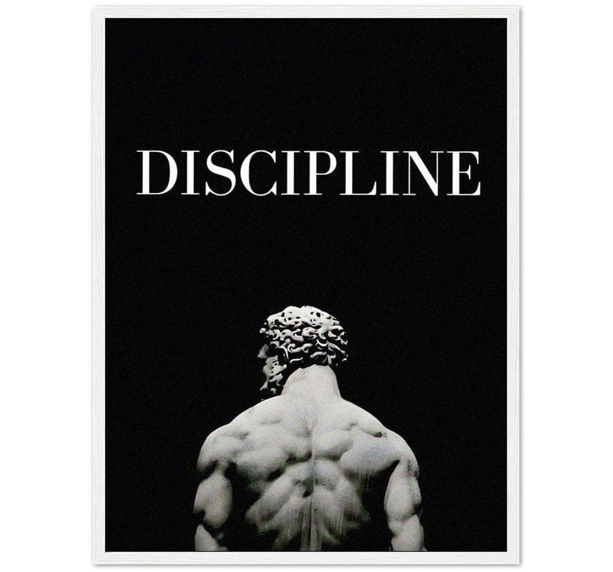DISCIPLINE