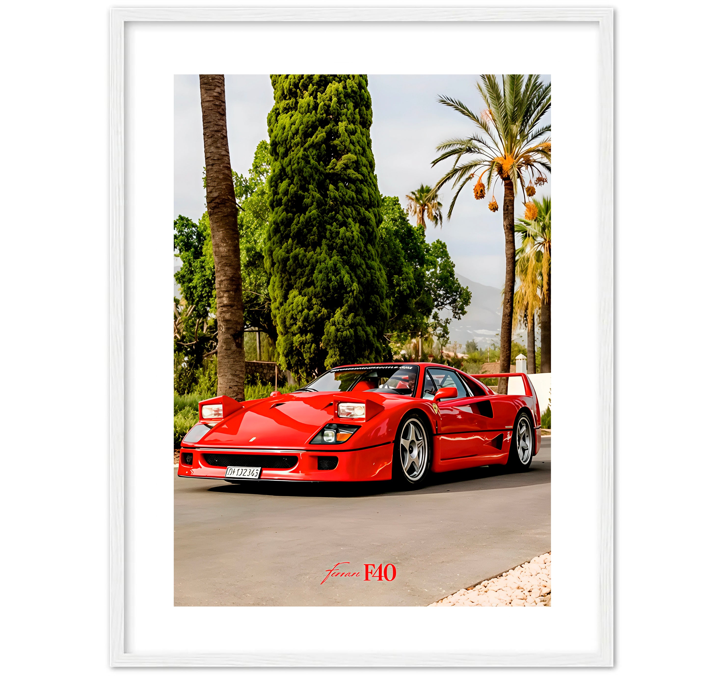 F40 - RED