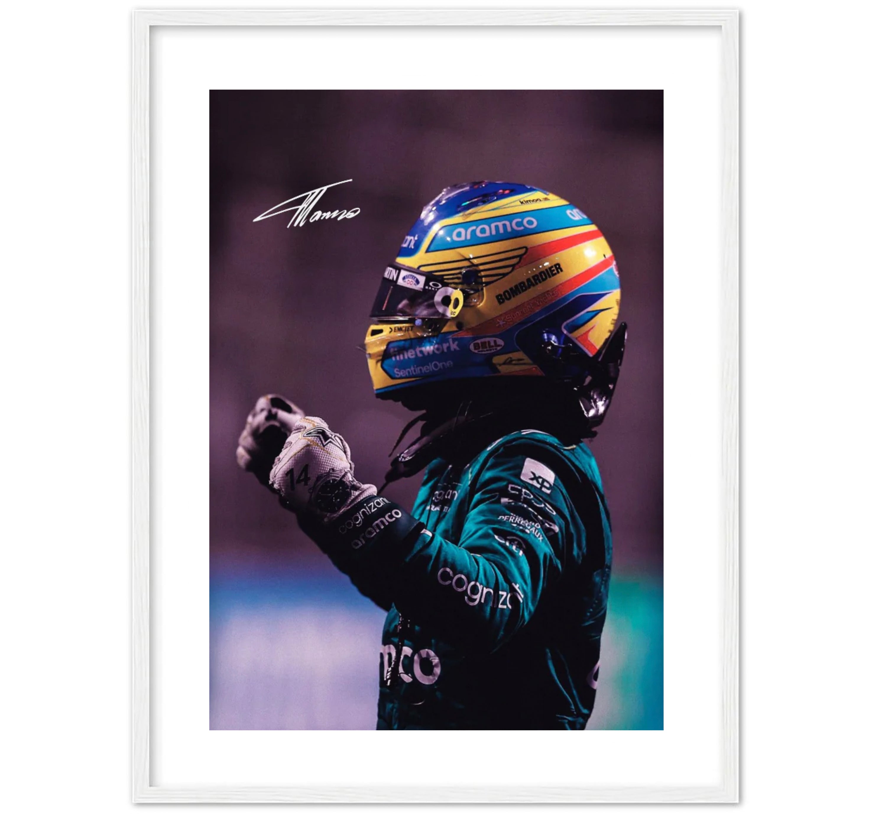 Fernando Alonso 🧍