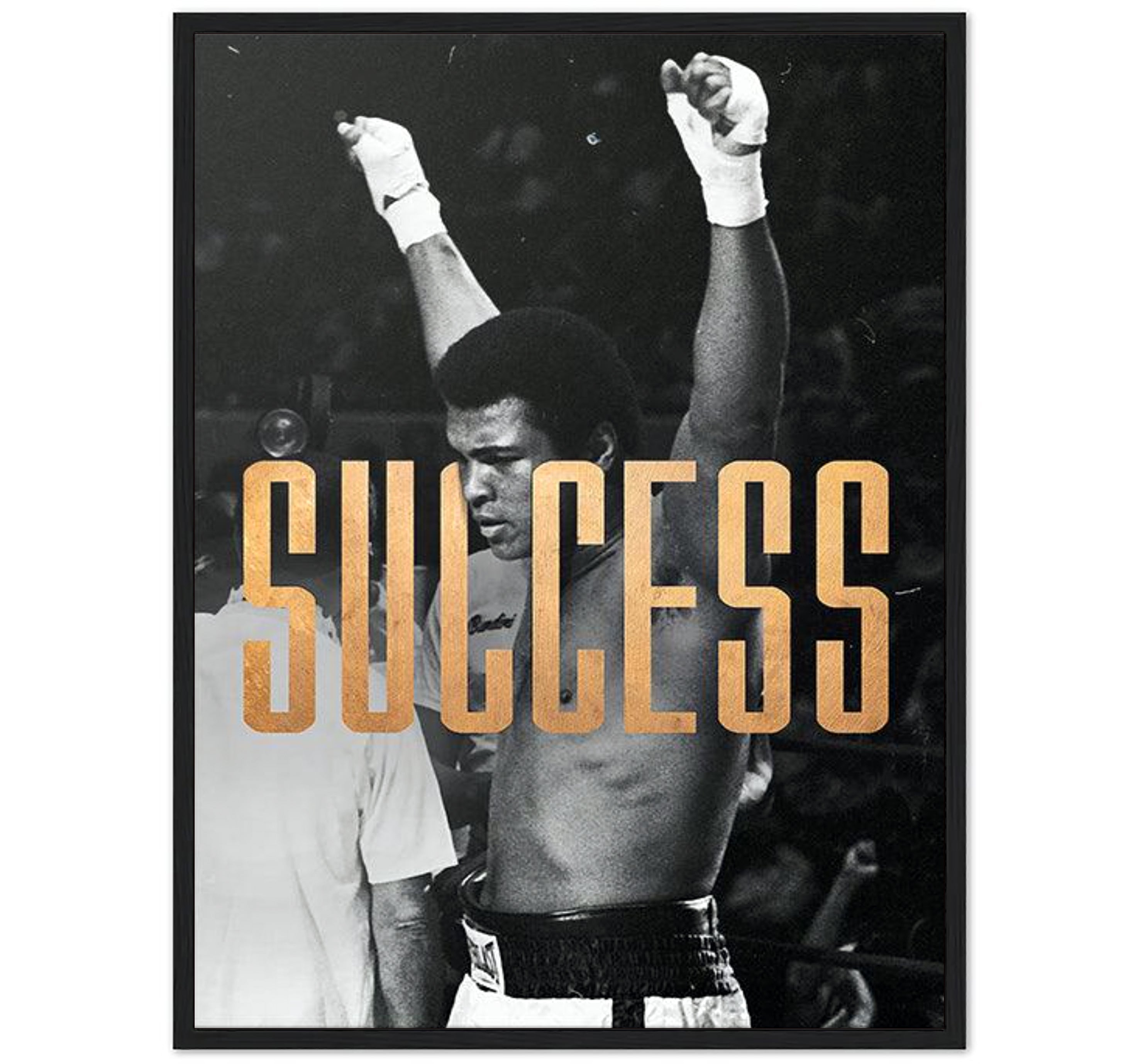 ALI Success