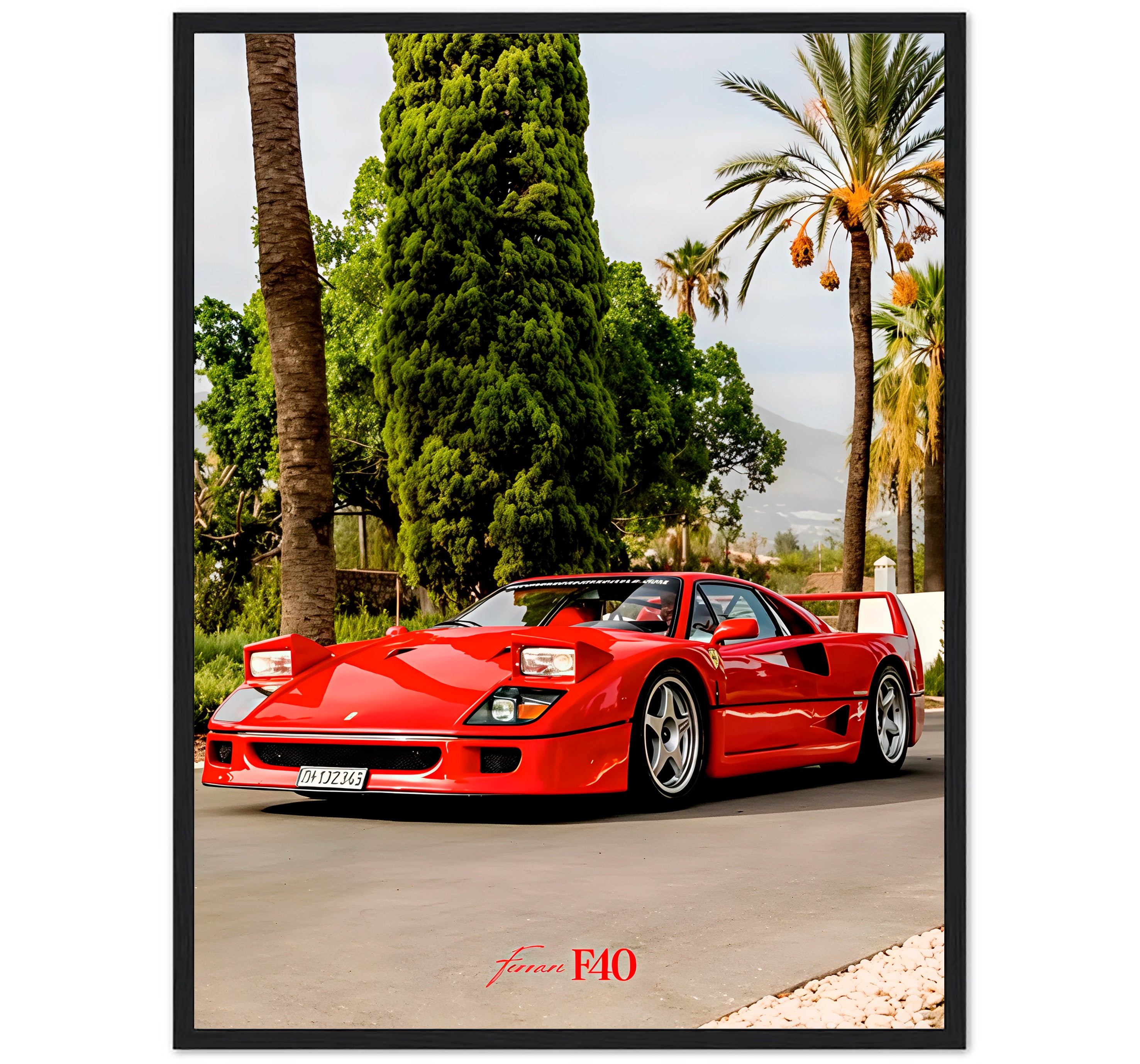 F40 - RED