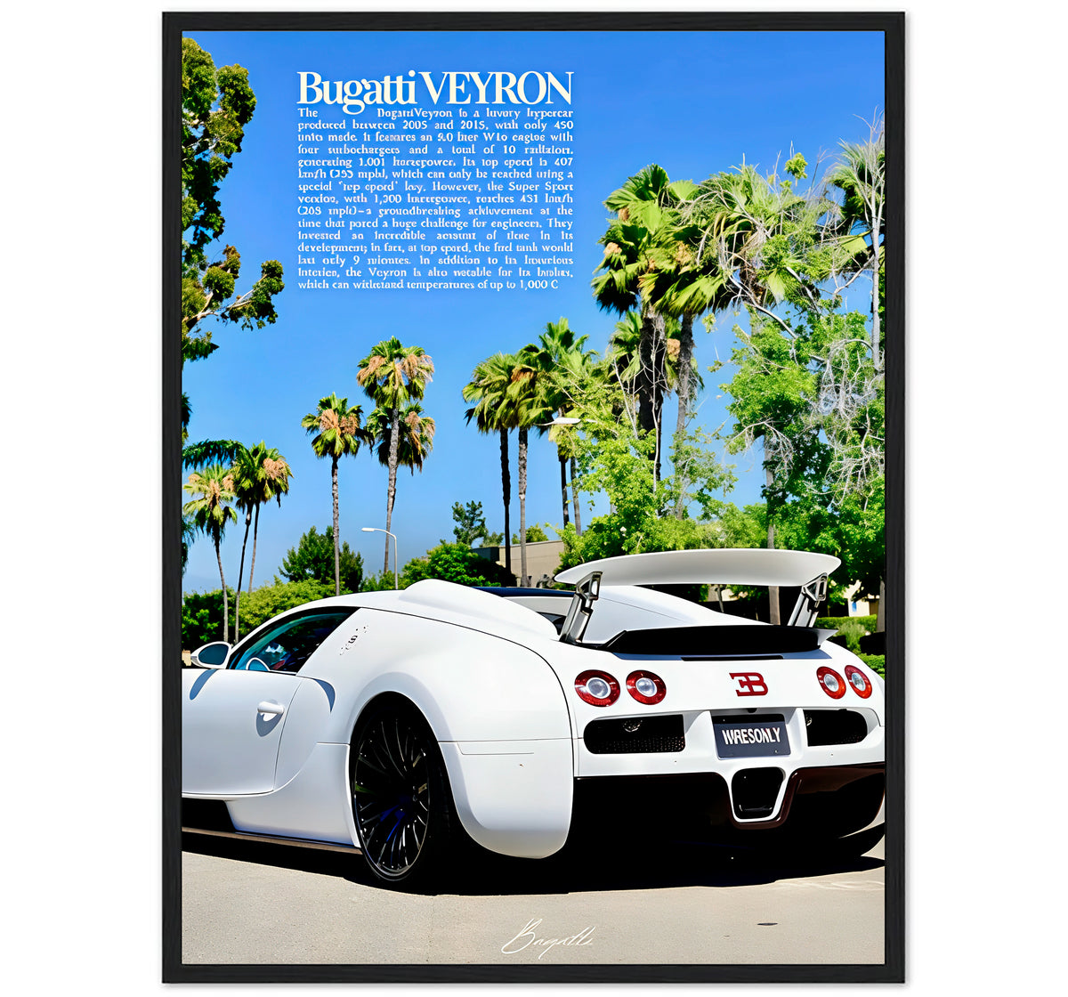 VEYRON