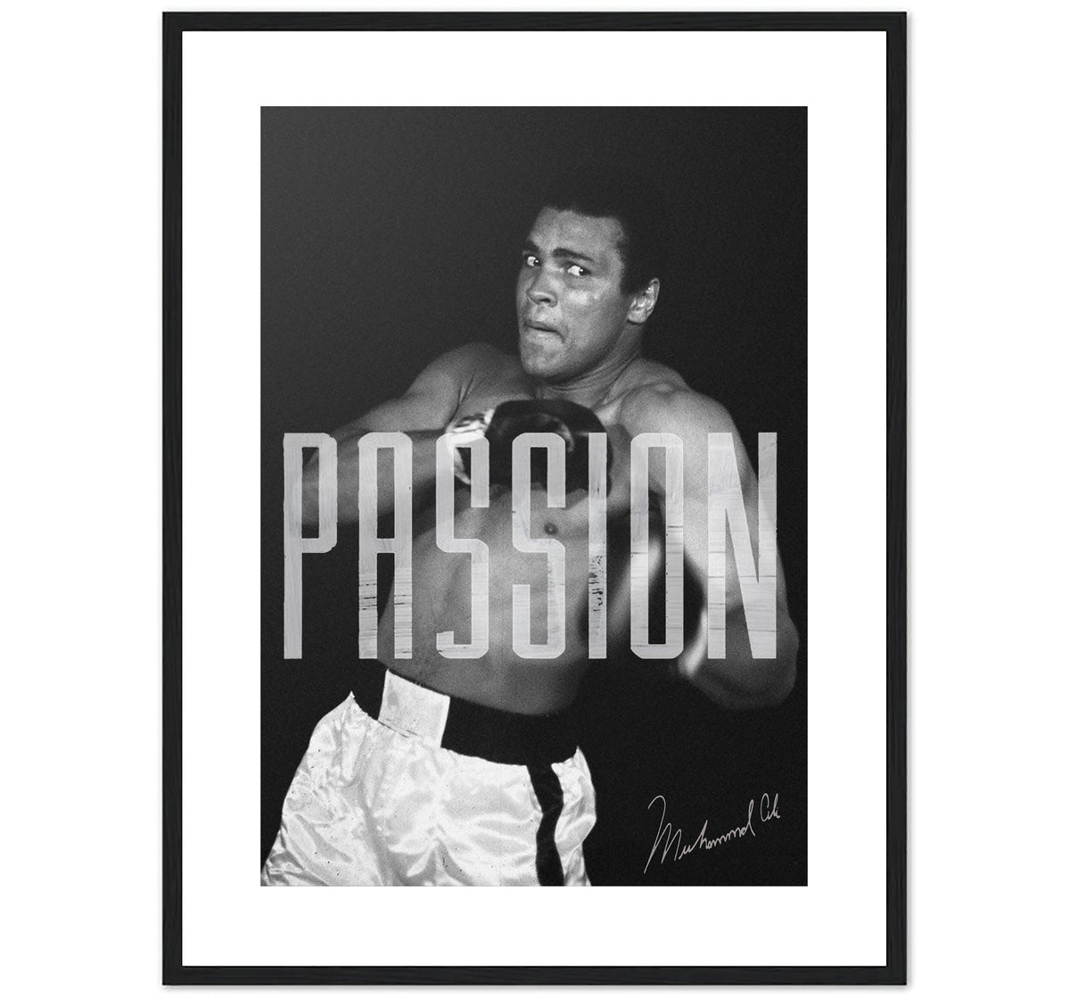 ALI - PASSION