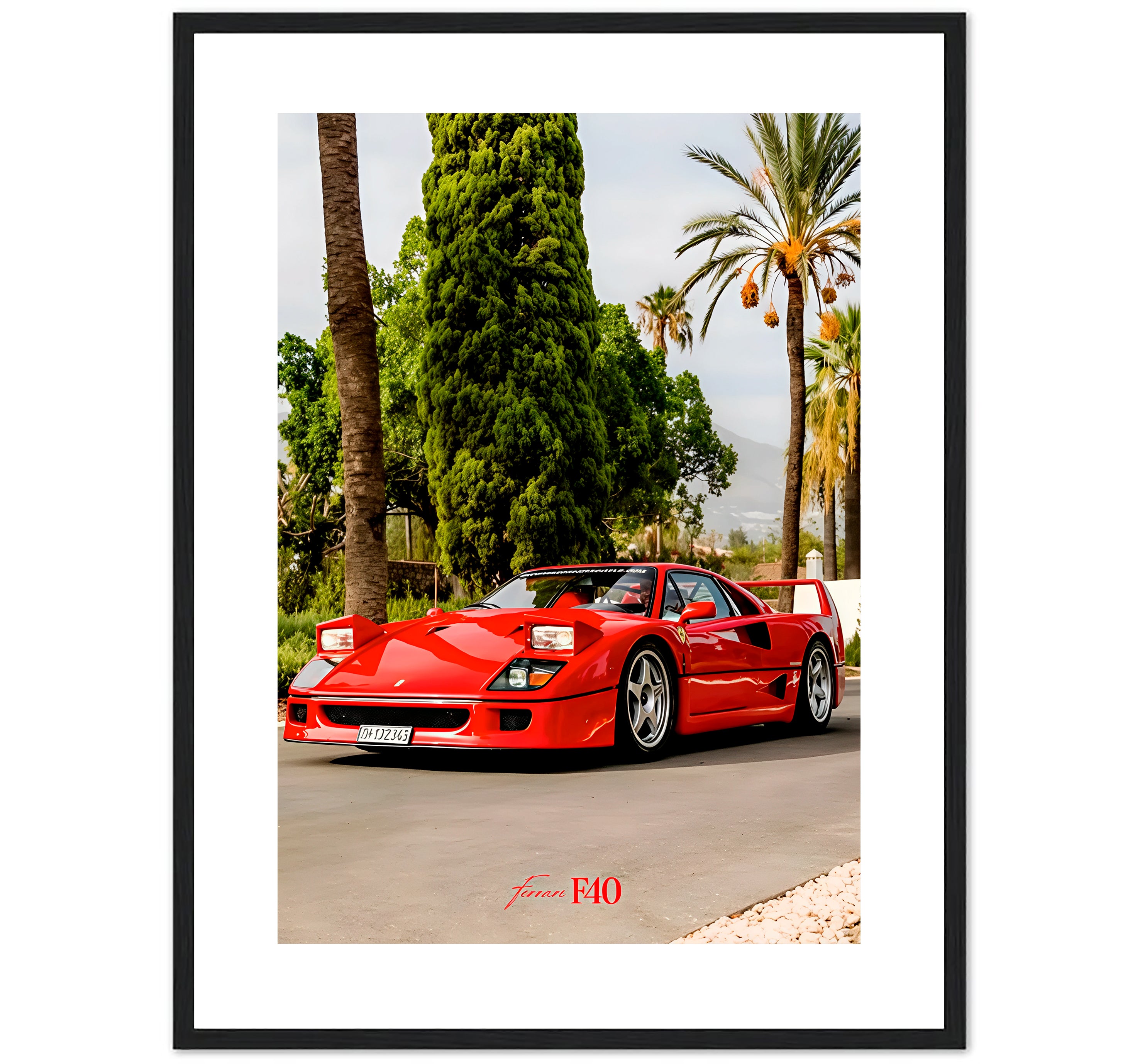 F40 - RED
