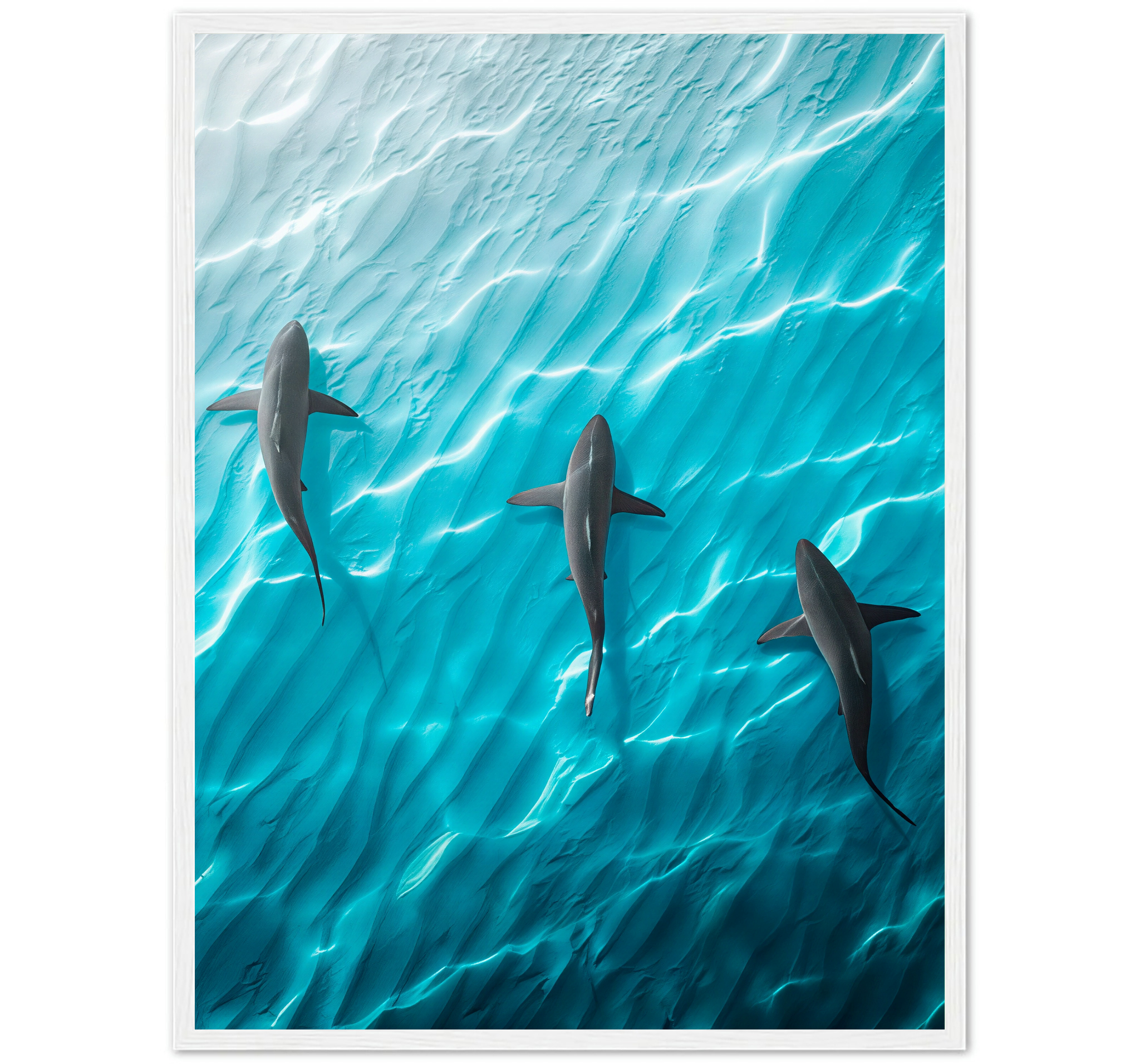 SHARK