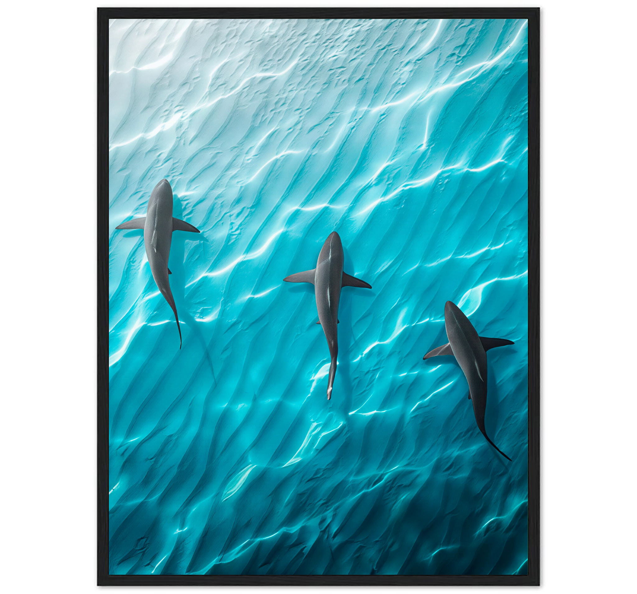 SHARK