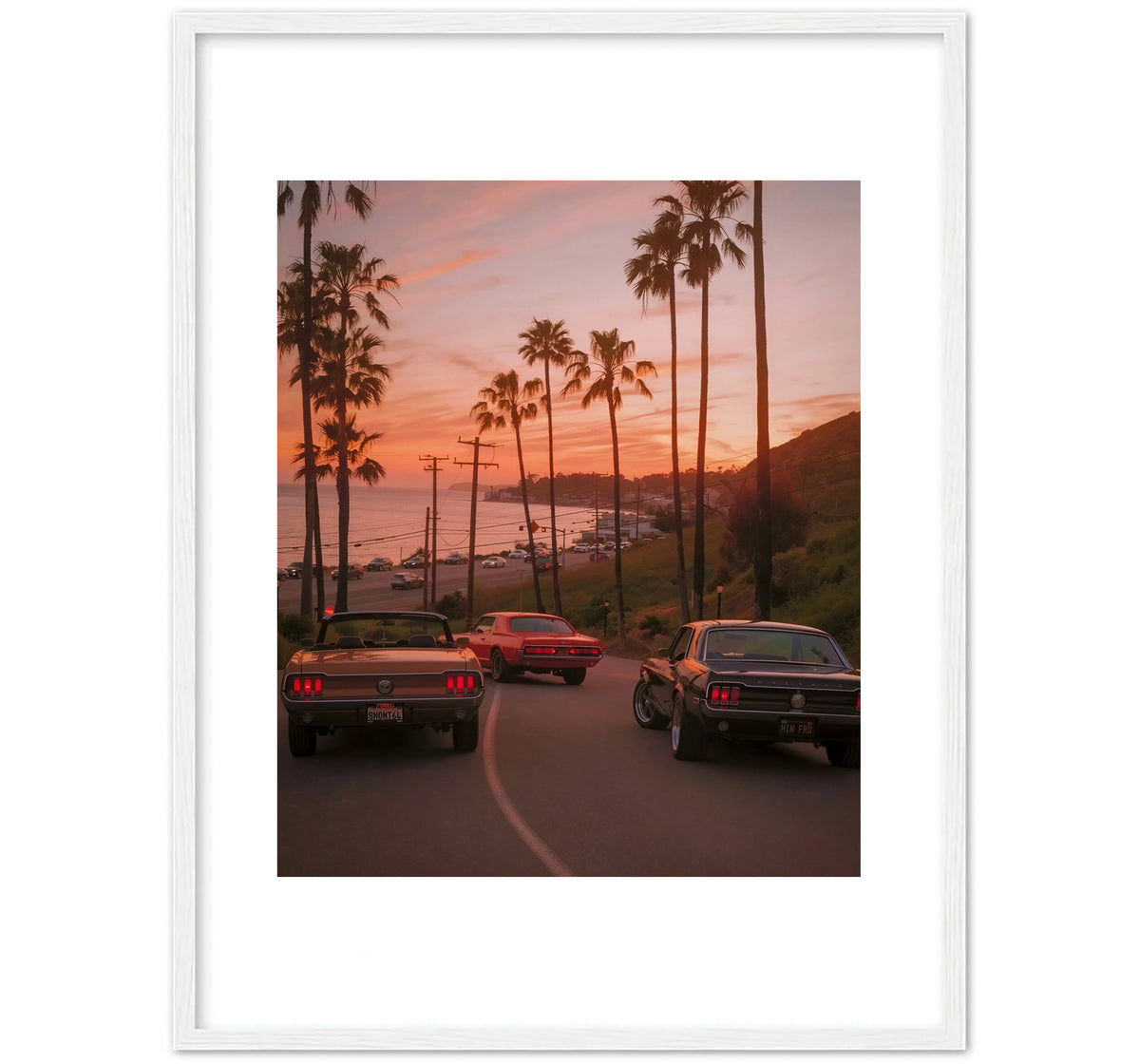 PACIFIC COAST