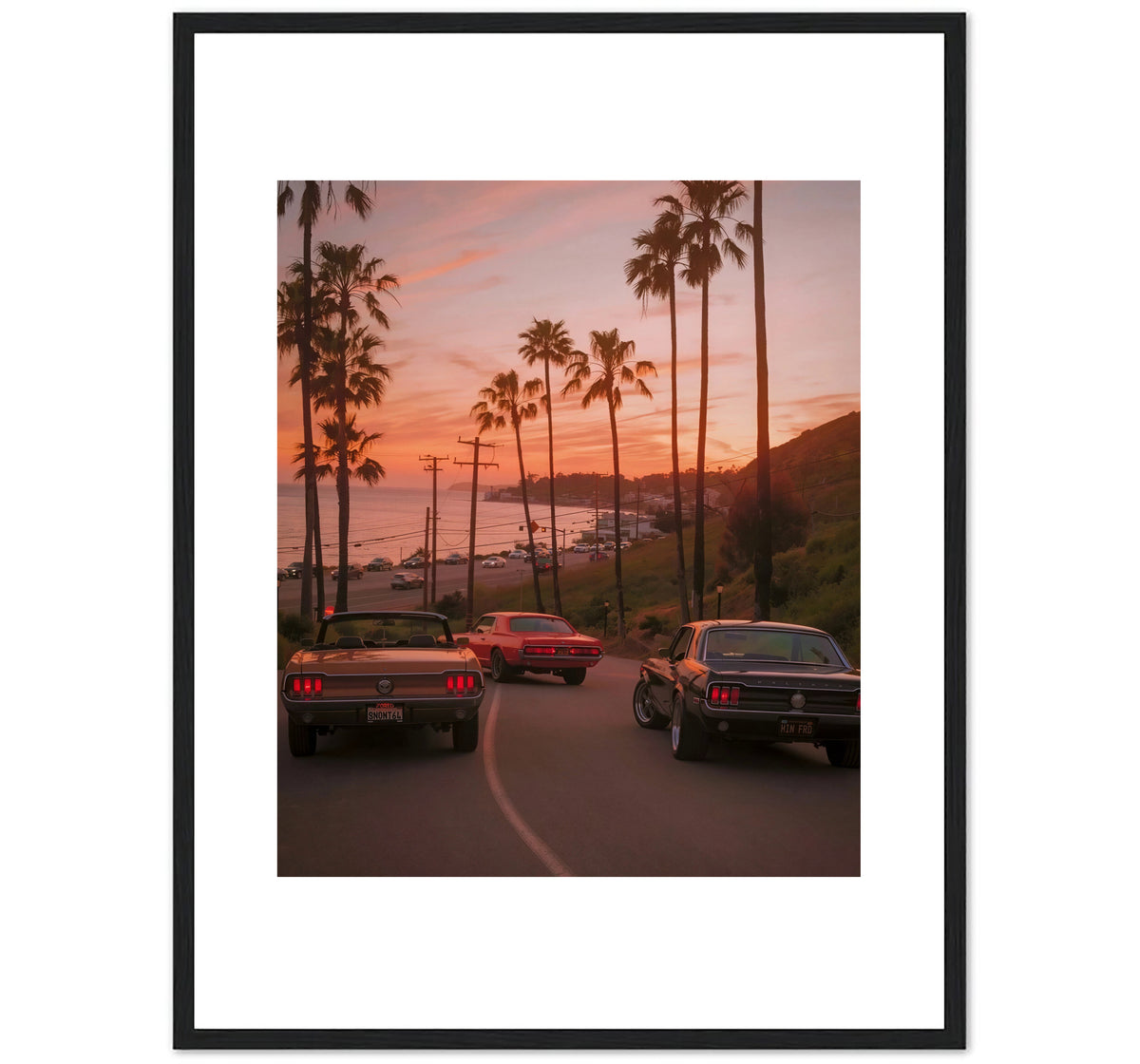PACIFIC COAST