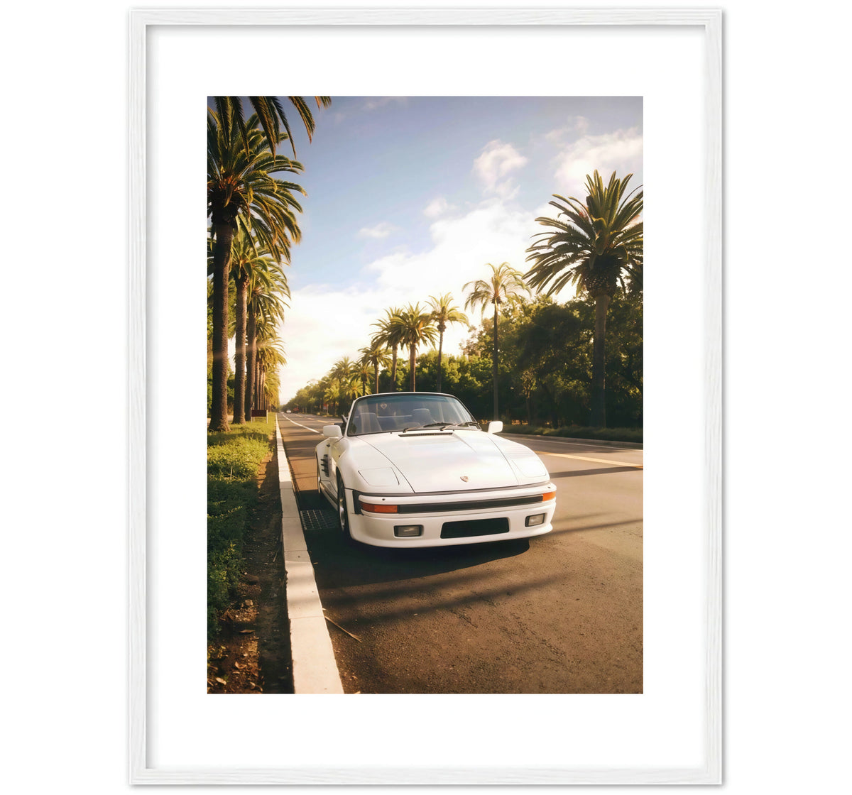 PALM ROAD