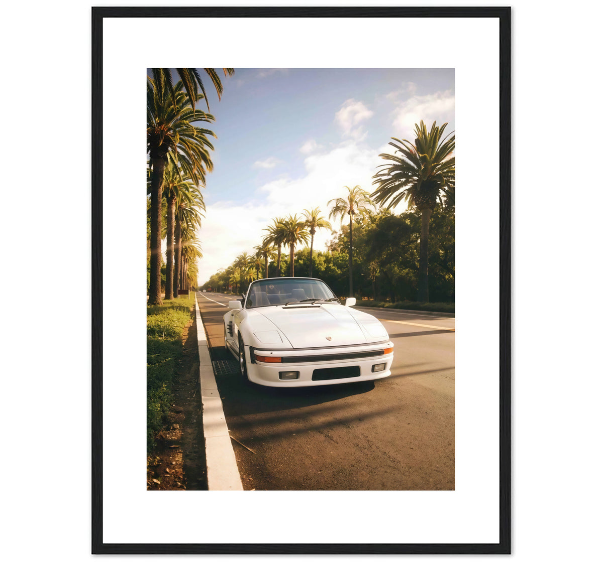 PALM ROAD