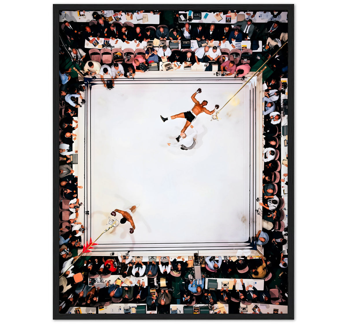 SQUARED CIRCLE