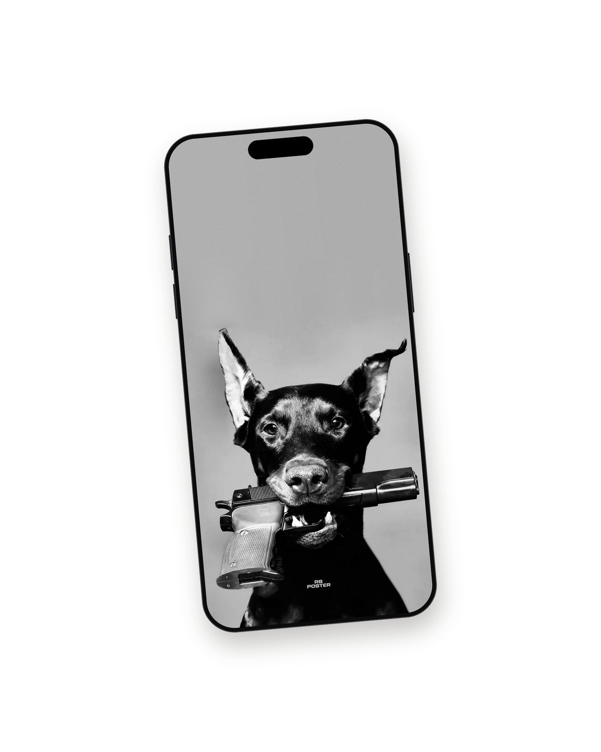 Fashion Dog · wallpaper en el móvil