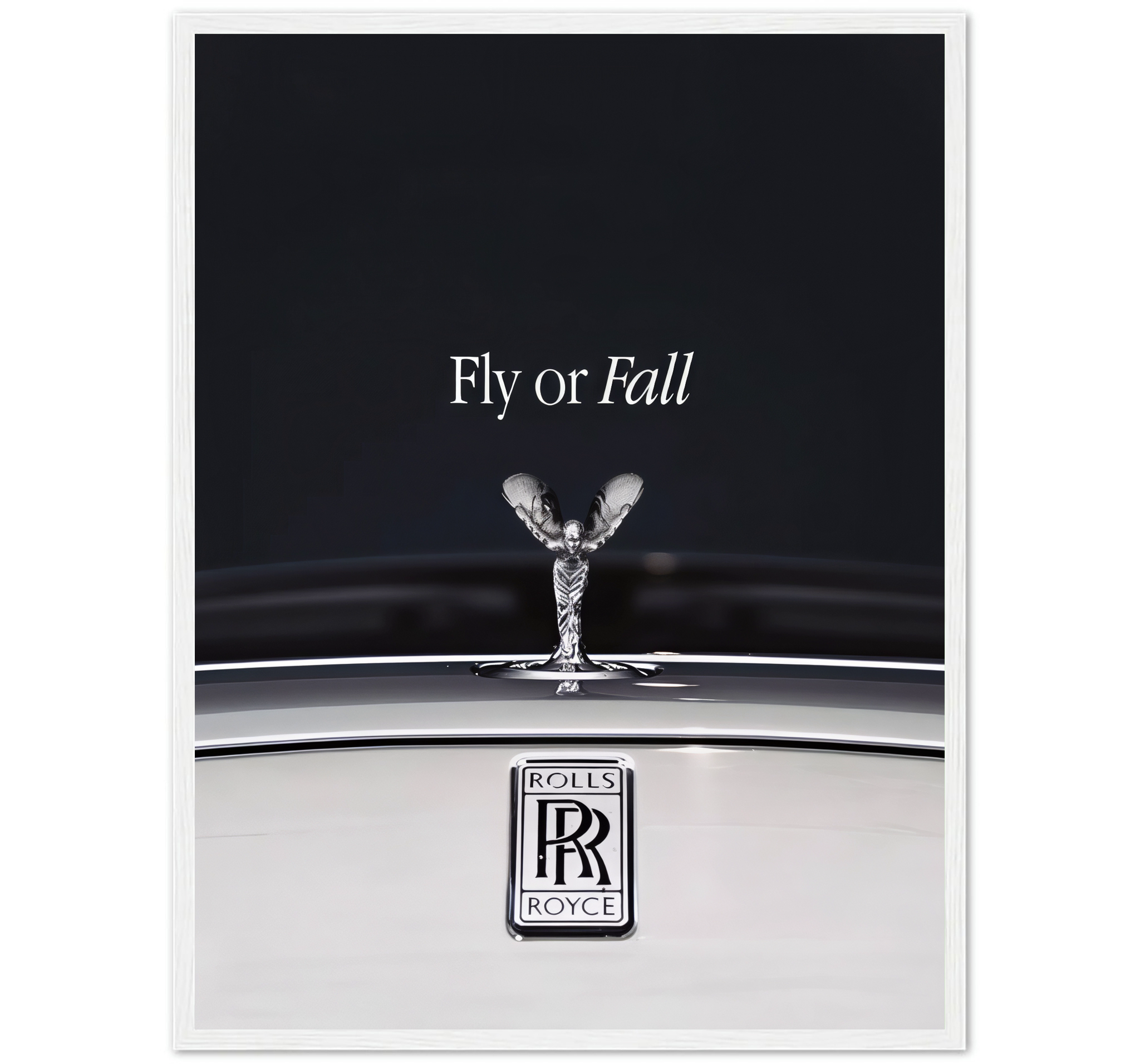 FLY OR FALL