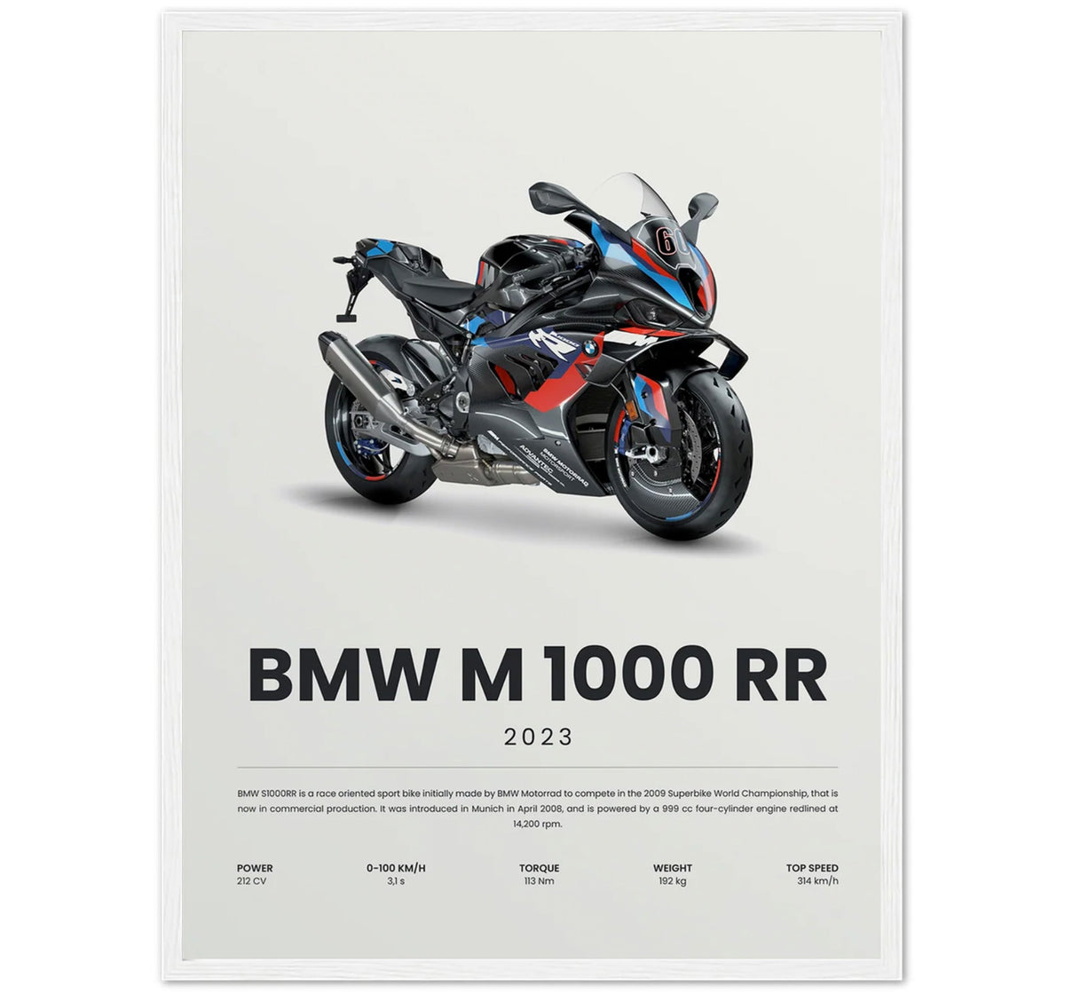 M 1000 RR