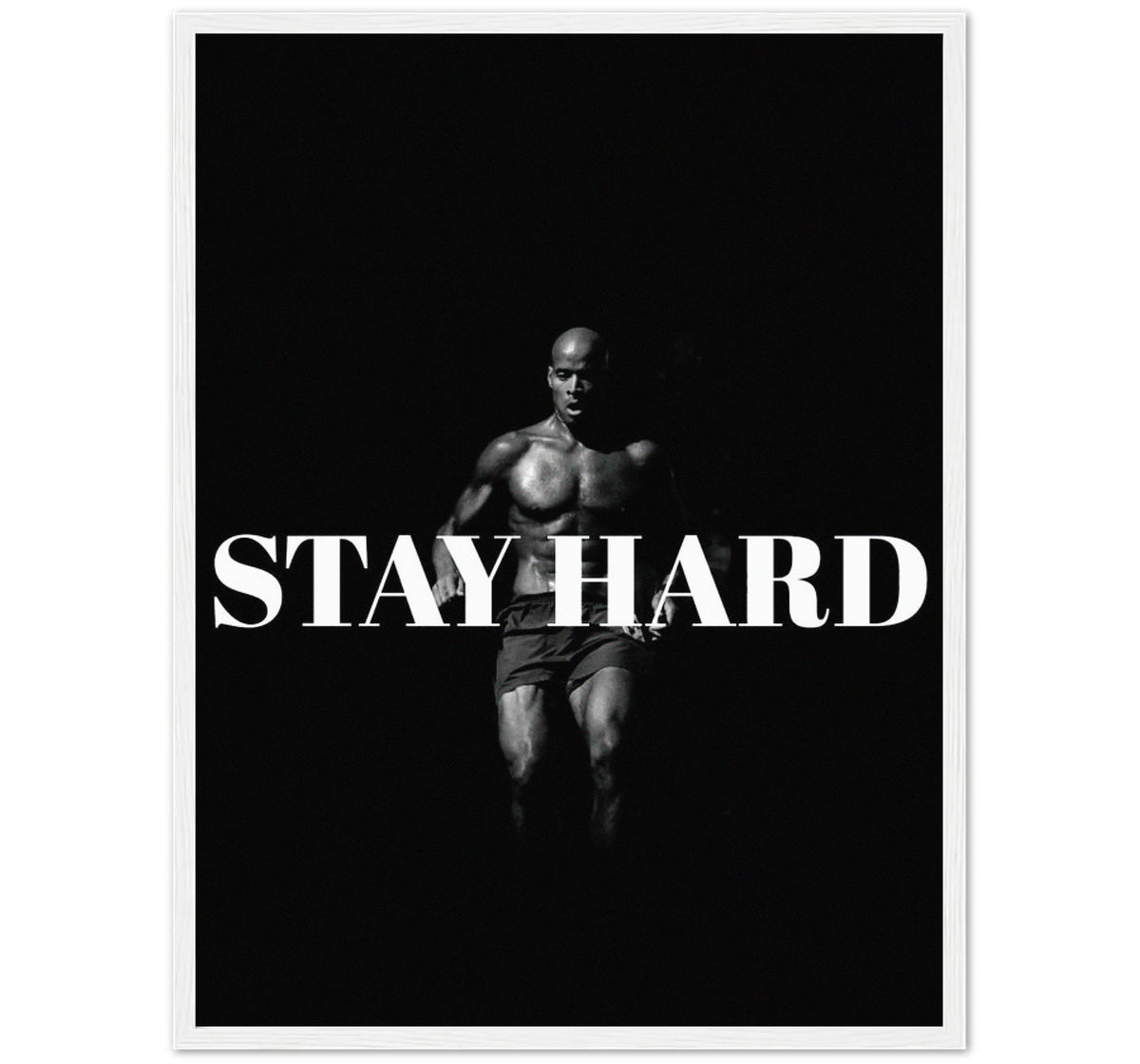 STAY HARD