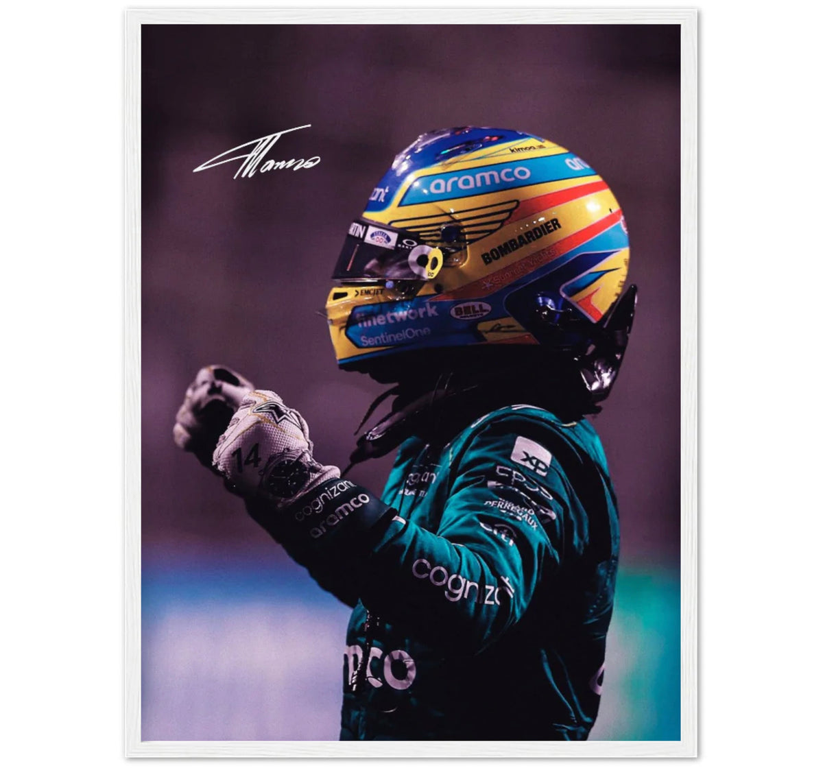 Fernando Alonso 🧍