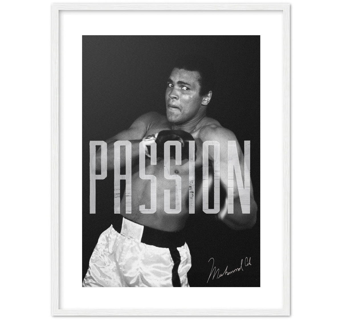 ALI - PASSION