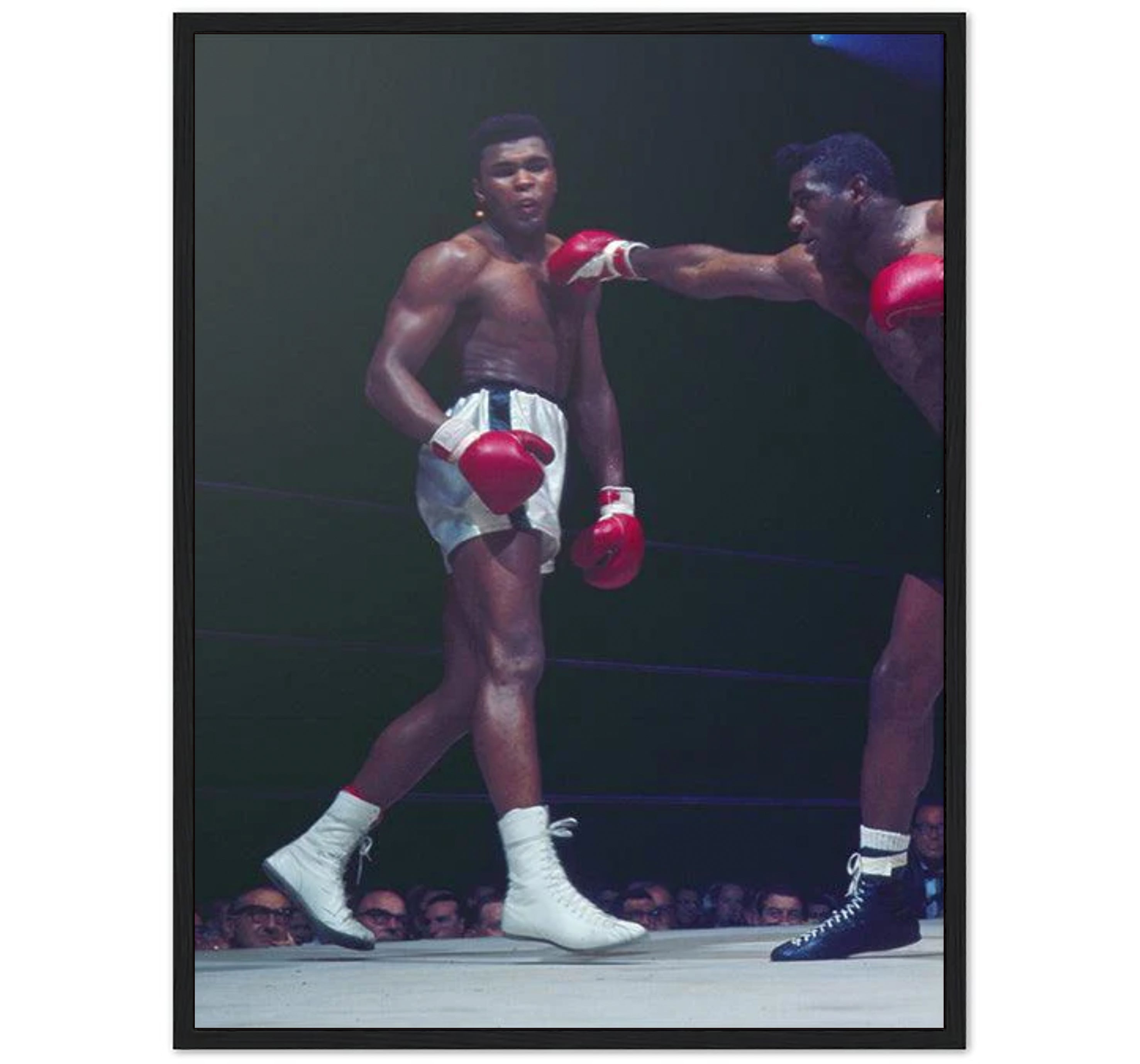 Muhammad Ali - FLOAT