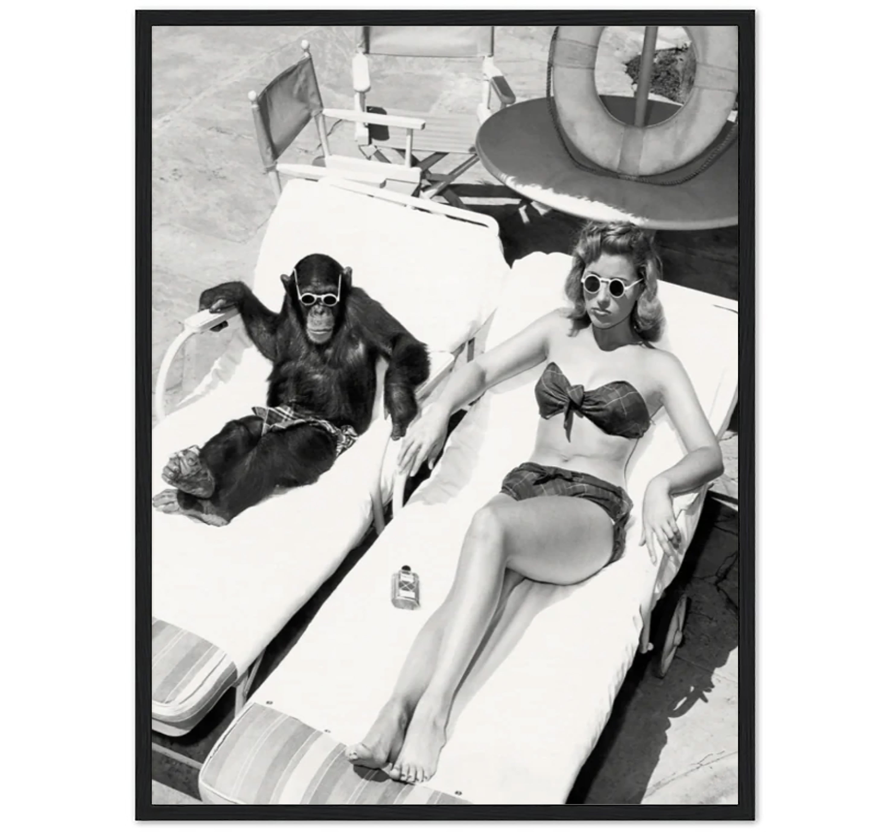 Women Sunbathing With Chimpanzee