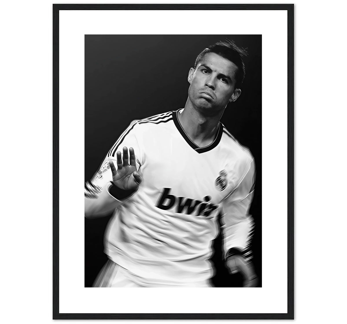 CALMA - 2009