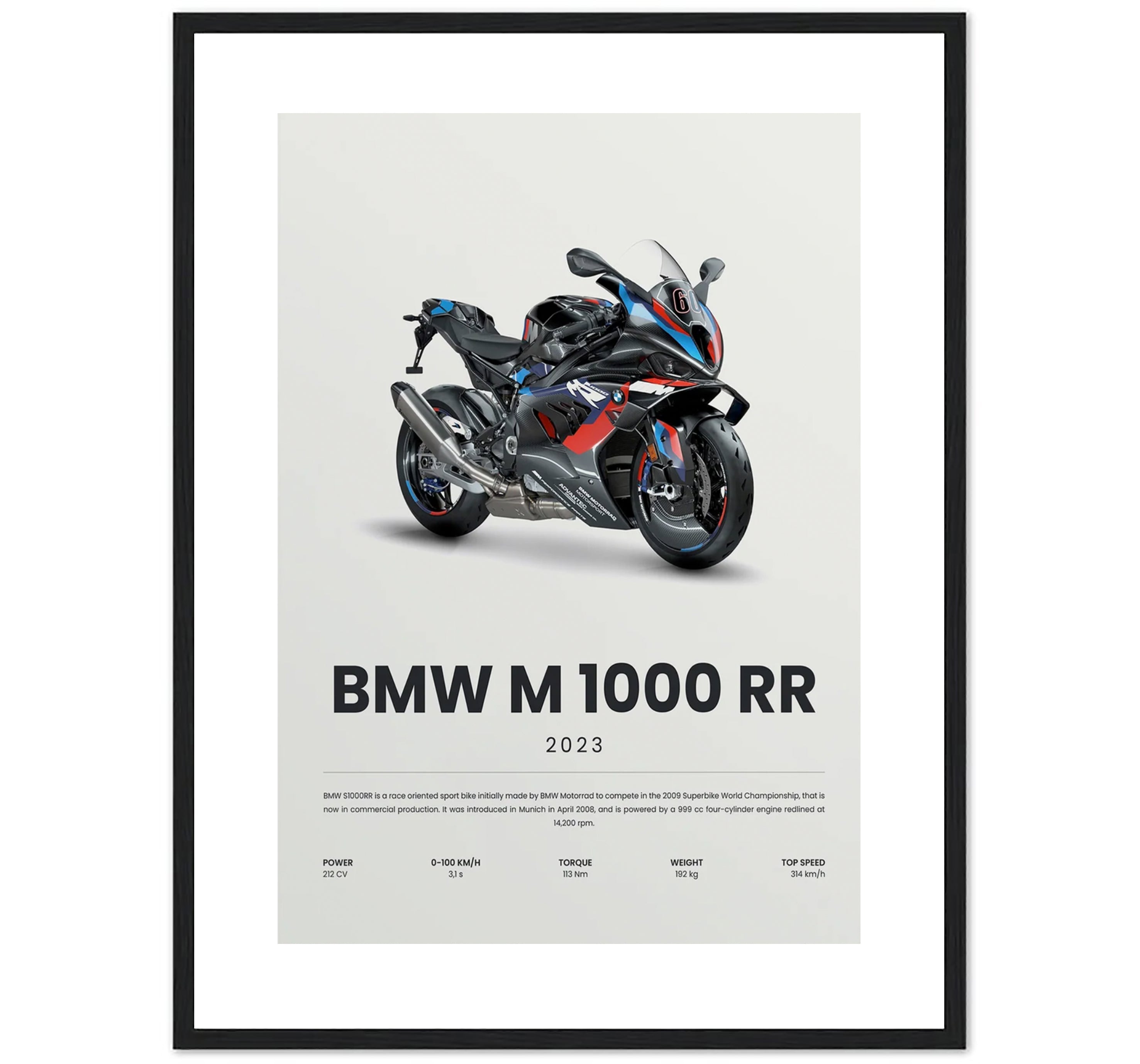 M 1000 RR