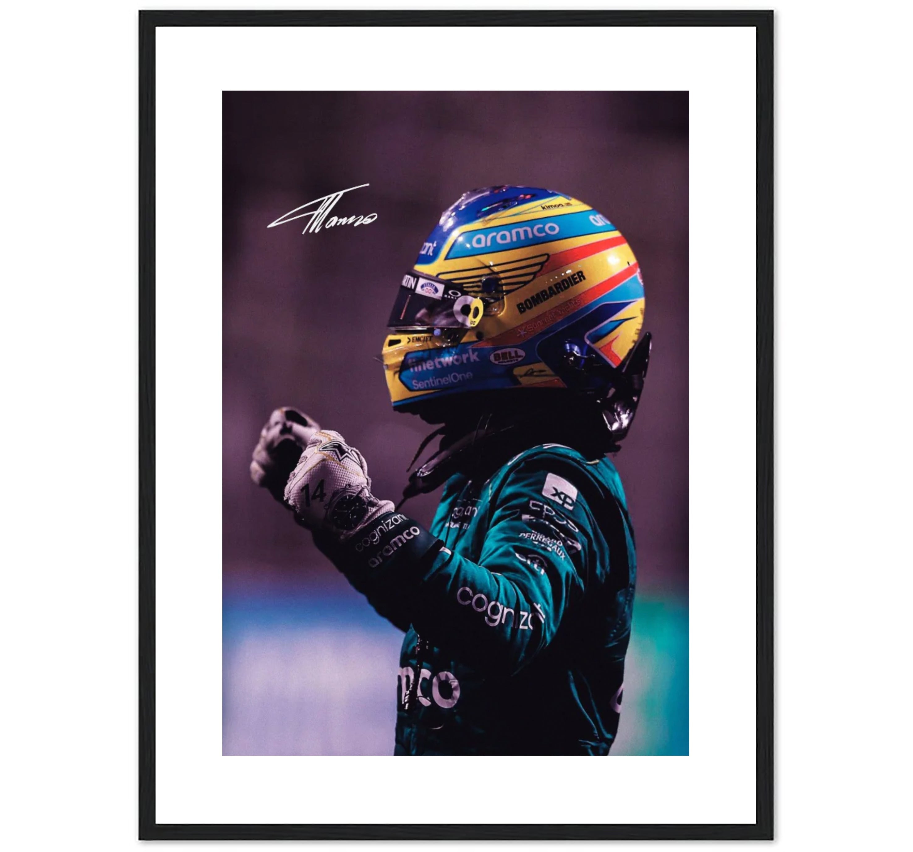 Fernando Alonso 🧍