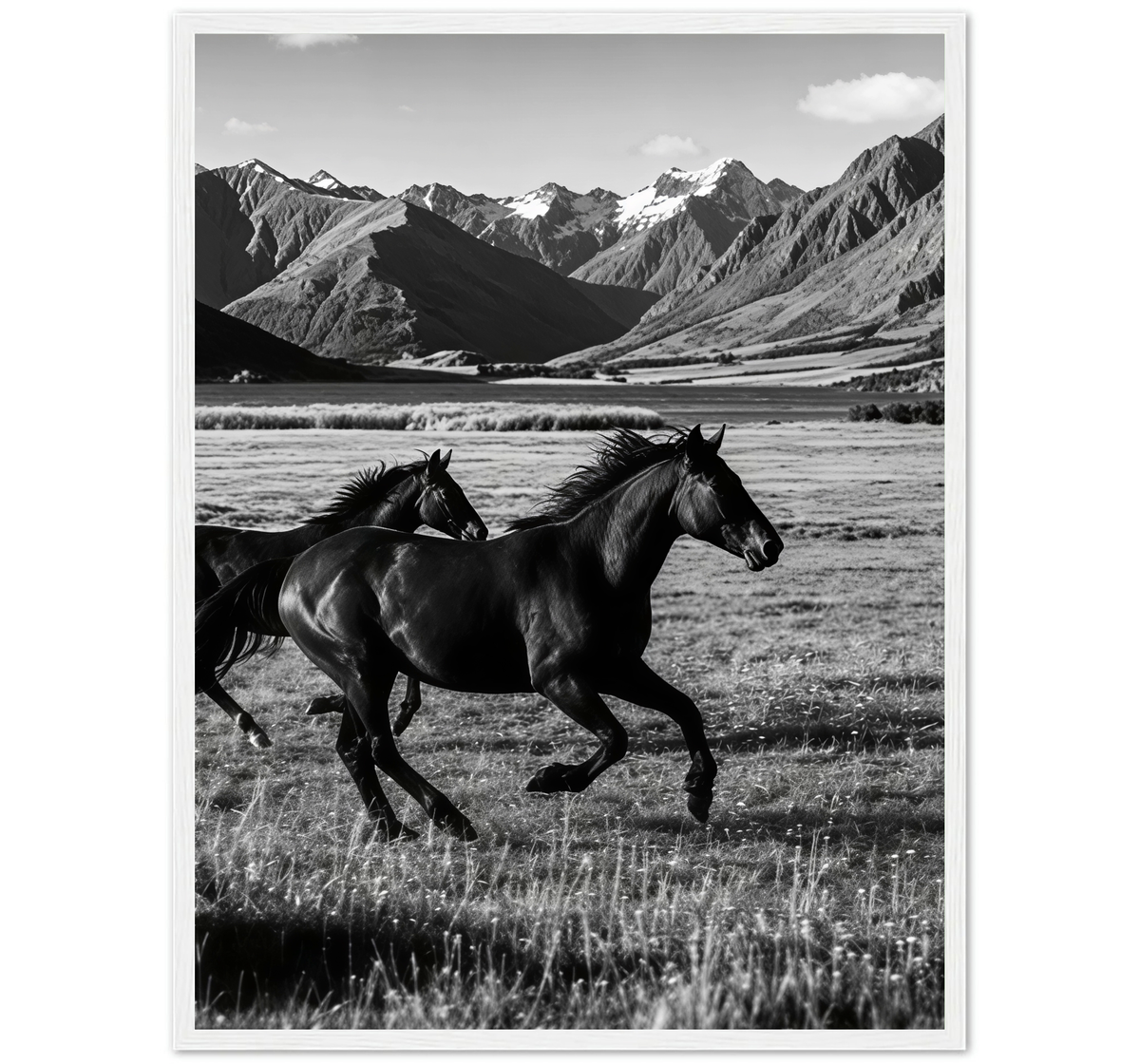 WILD RUN