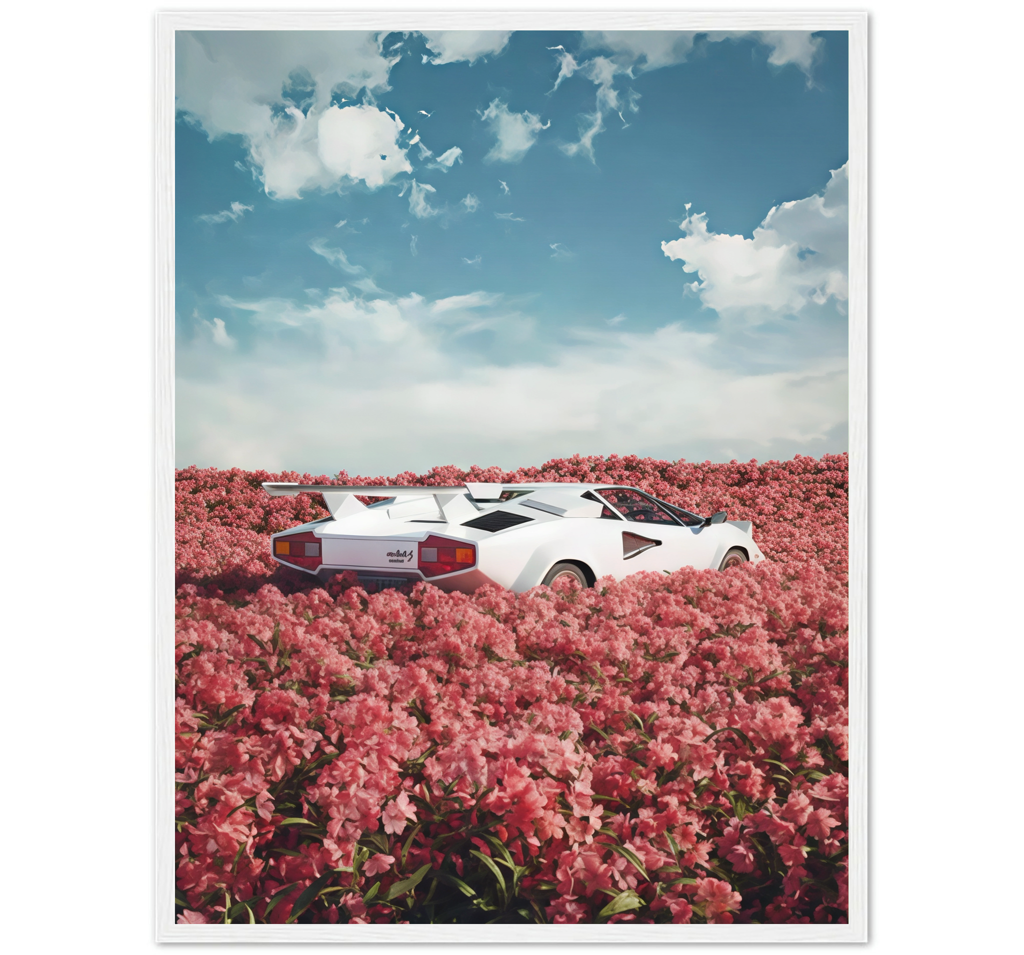 FUTURE CAR