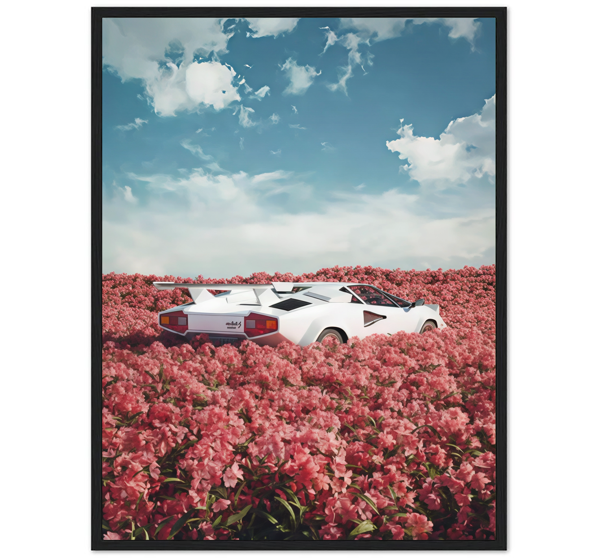FUTURE CAR