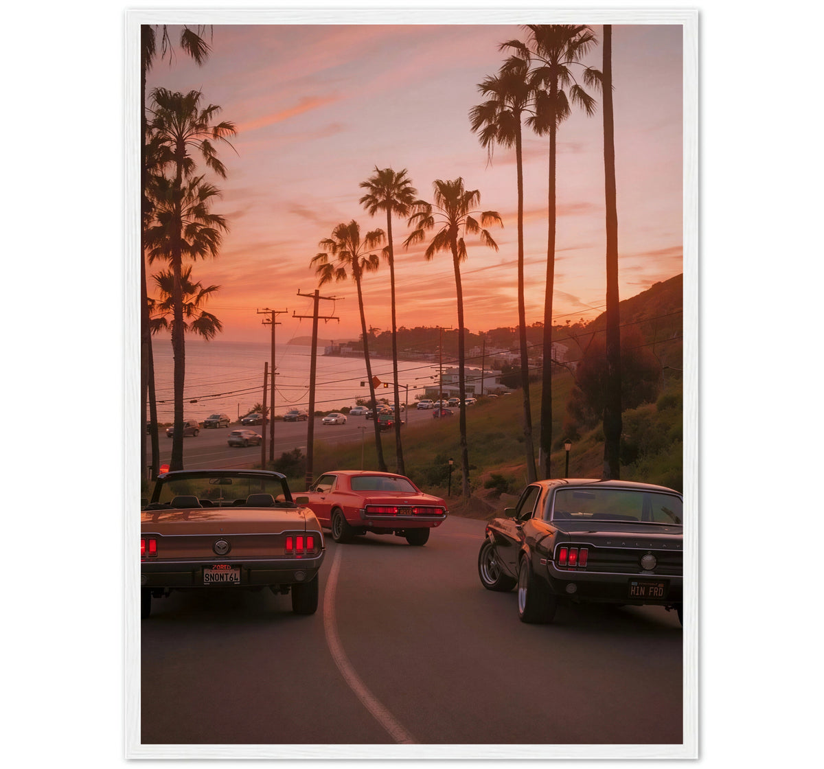 PACIFIC COAST