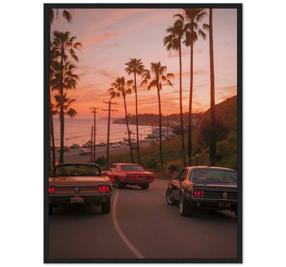 PACIFIC COAST