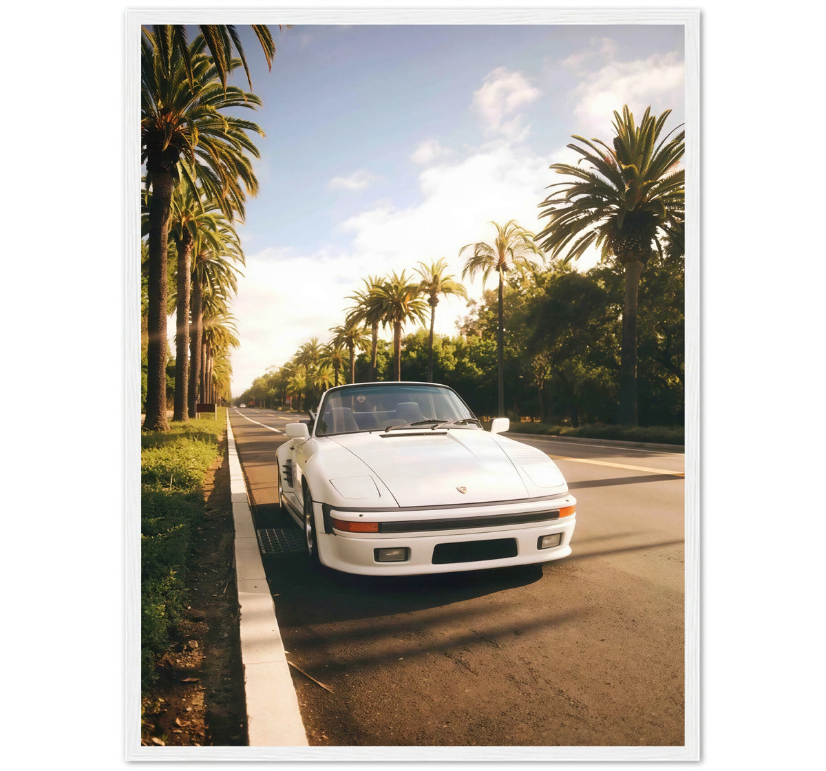PALM ROAD