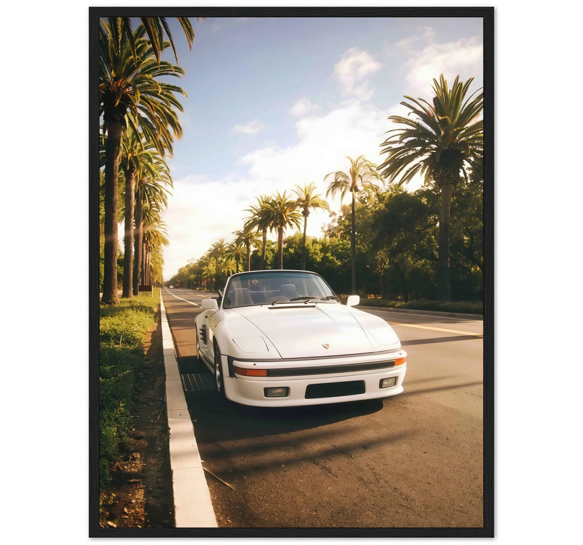 PALM ROAD