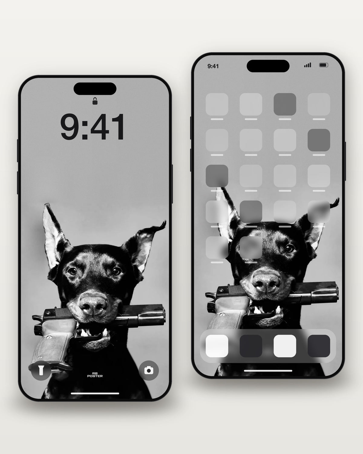 Fashion Dog · wallpaper en la pantalla de bloqueo y en la de inicio