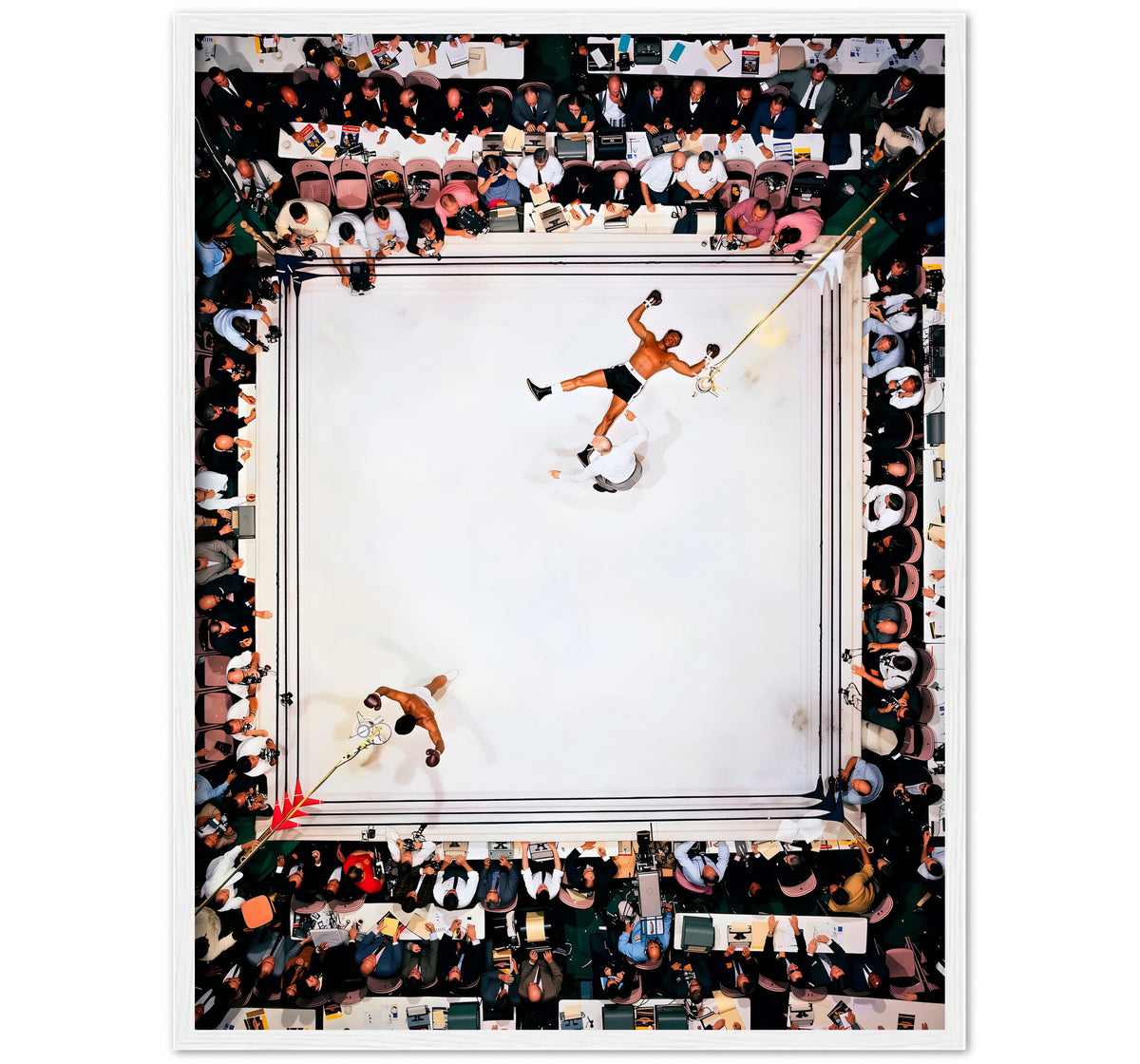 SQUARED CIRCLE