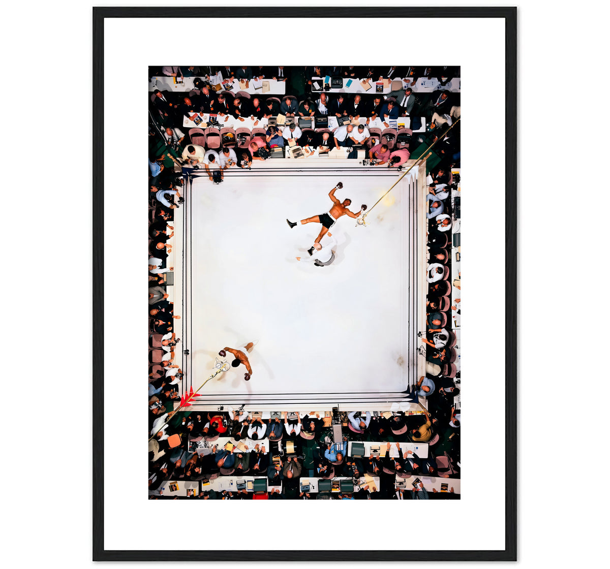 SQUARED CIRCLE
